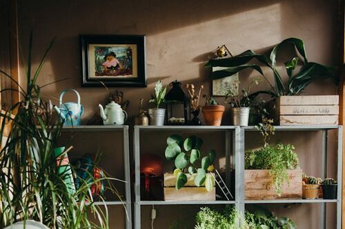 Get a Custom Shelving Installed in Your Living Room by a South Austin Handyman